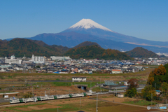 P1040360-1