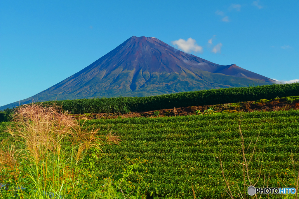 秋の富士山