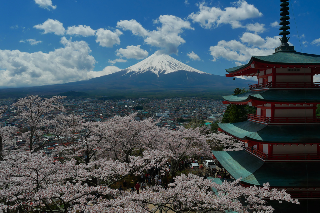 新倉山の桜と富士山