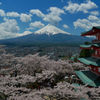 新倉山の桜と富士山