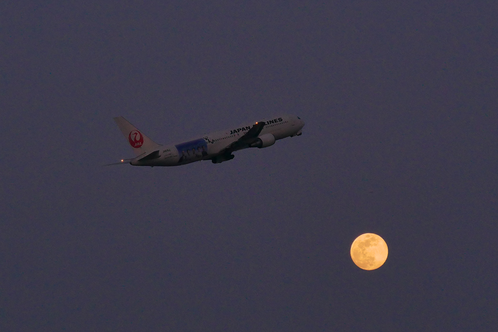 満月の羽田空港