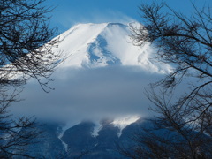 忍野村から富士山