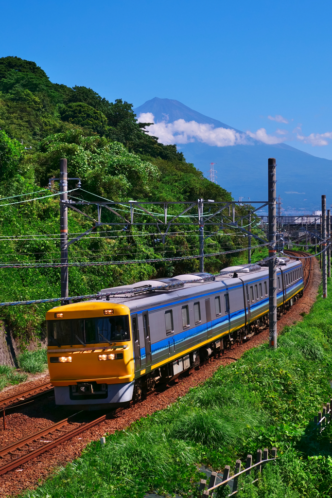 夏のドクター東海