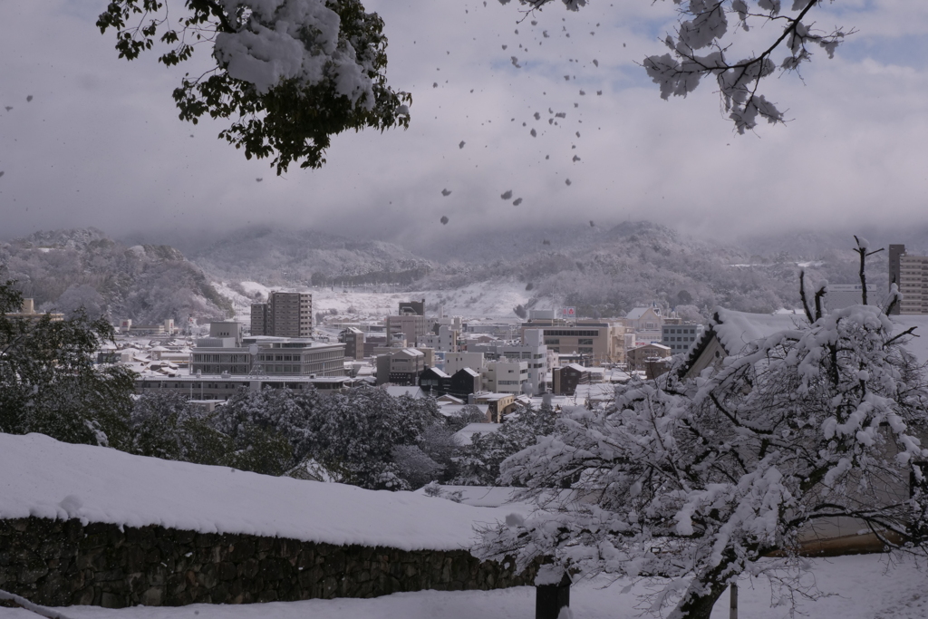 雪の彦根の街