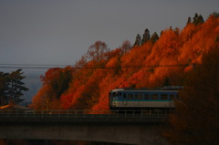 陽のあたる・・・115系