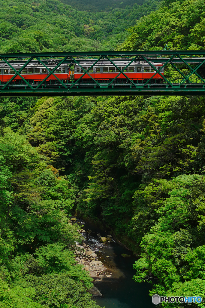 箱根登山鉄道　　ﾓﾊ1型