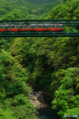 箱根登山鉄道　　ﾓﾊ1型