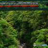 箱根登山鉄道　　ﾓﾊ1型