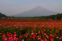 山中湖で富士山