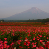 山中湖で富士山