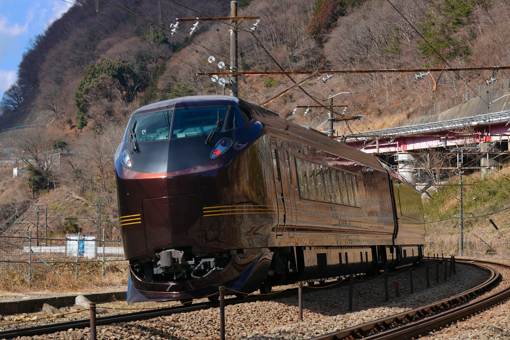 E655系団臨