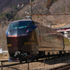E655系団臨