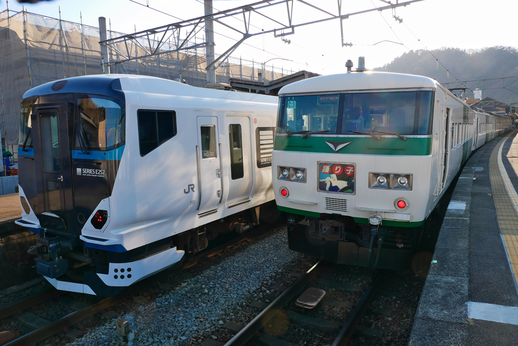 E257系　185系　踊り子号