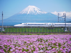 富士山と蓮華N700系Aアドバンス