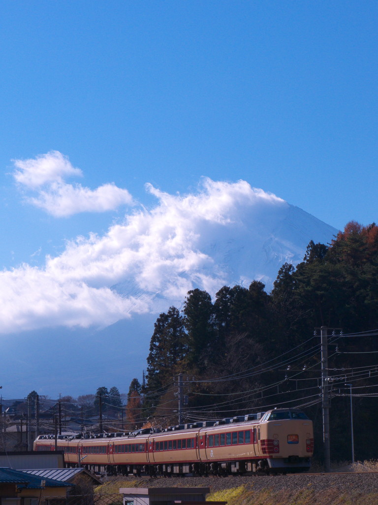 183系　原色　ホリデー快速富士山