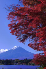 紅葉の向こうに河口湖そして富士山