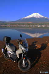 新相棒