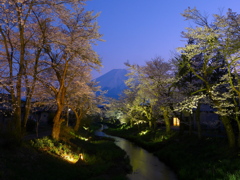 夜桜と富士山＠忍野