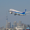 羽田空港　