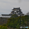 彦根城