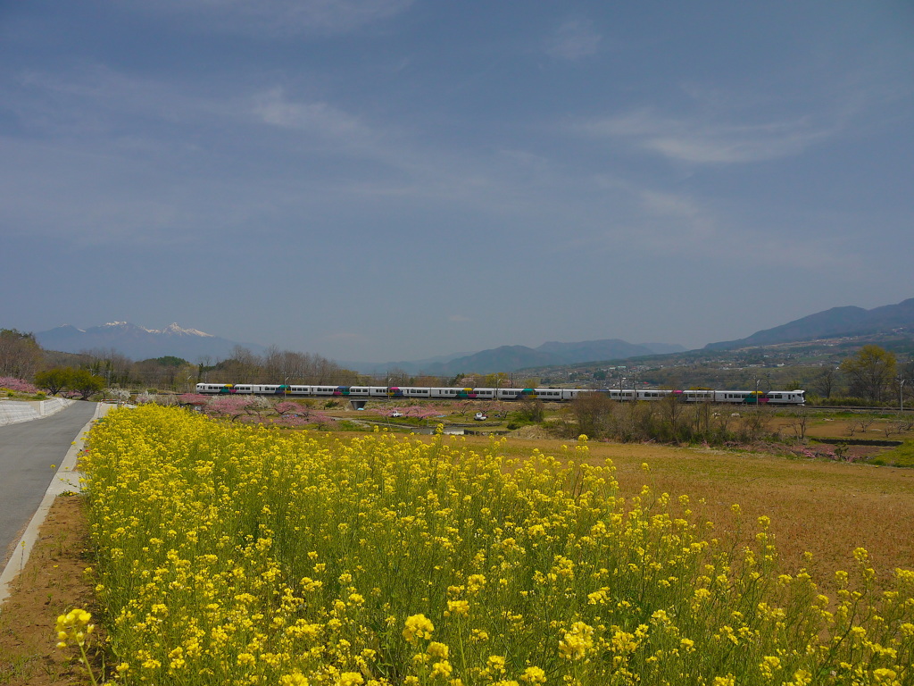 菜の花畑、桃畑を行く特急あずさ