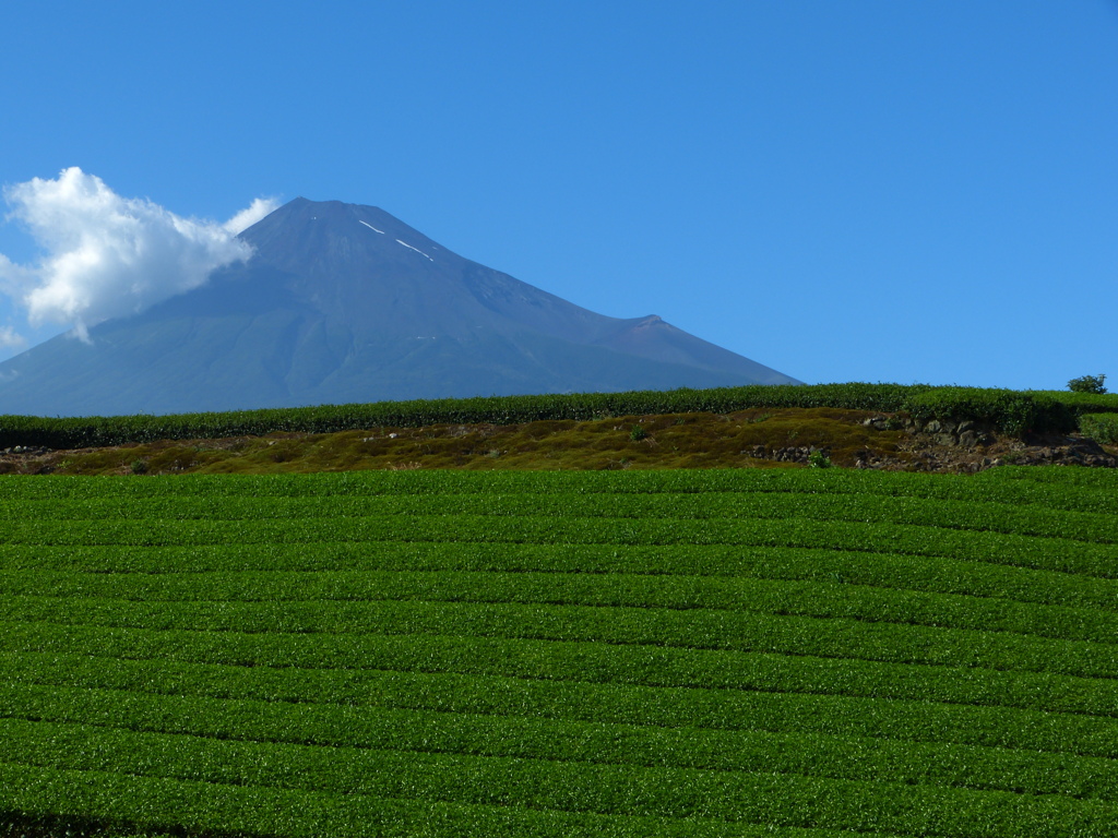 夏の富士山