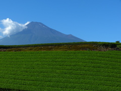 夏の富士山
