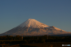 P1040192-1