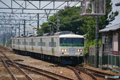 185系　Y160記念列車