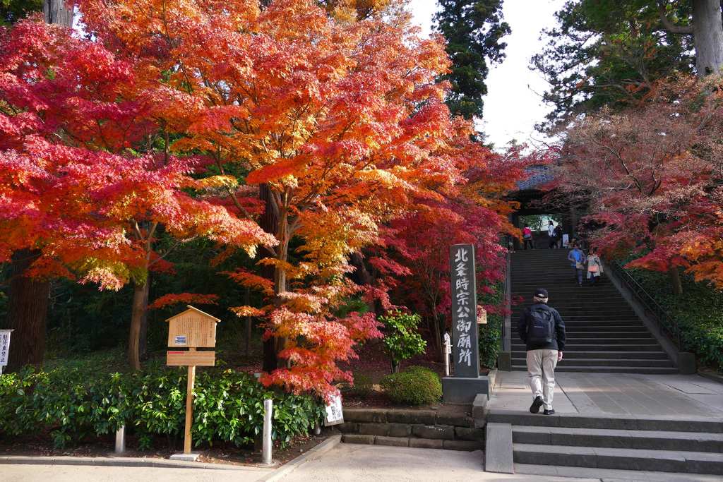 紅葉の鎌倉　円覚寺