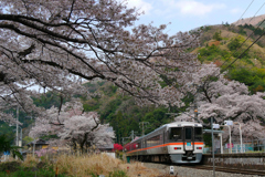 春の塩之沢駅