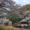 春の塩之沢駅