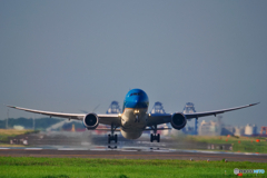 P1032318-1 P1032318-1