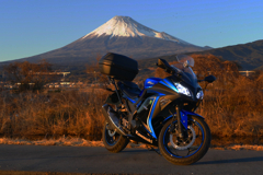 ニンジャと富士山