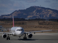 アシアナ航空と茶　　静岡空港