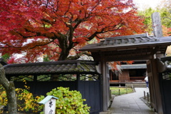 秋の東慶寺