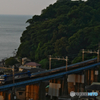 P1060729-1