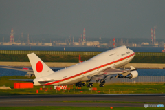 羽田空港　シグナス