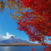 紅葉＠山中湖