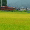 秋を行く富士登山電車