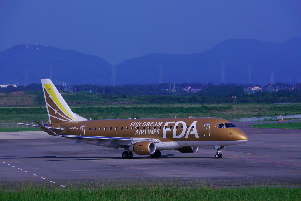 金のFDA
