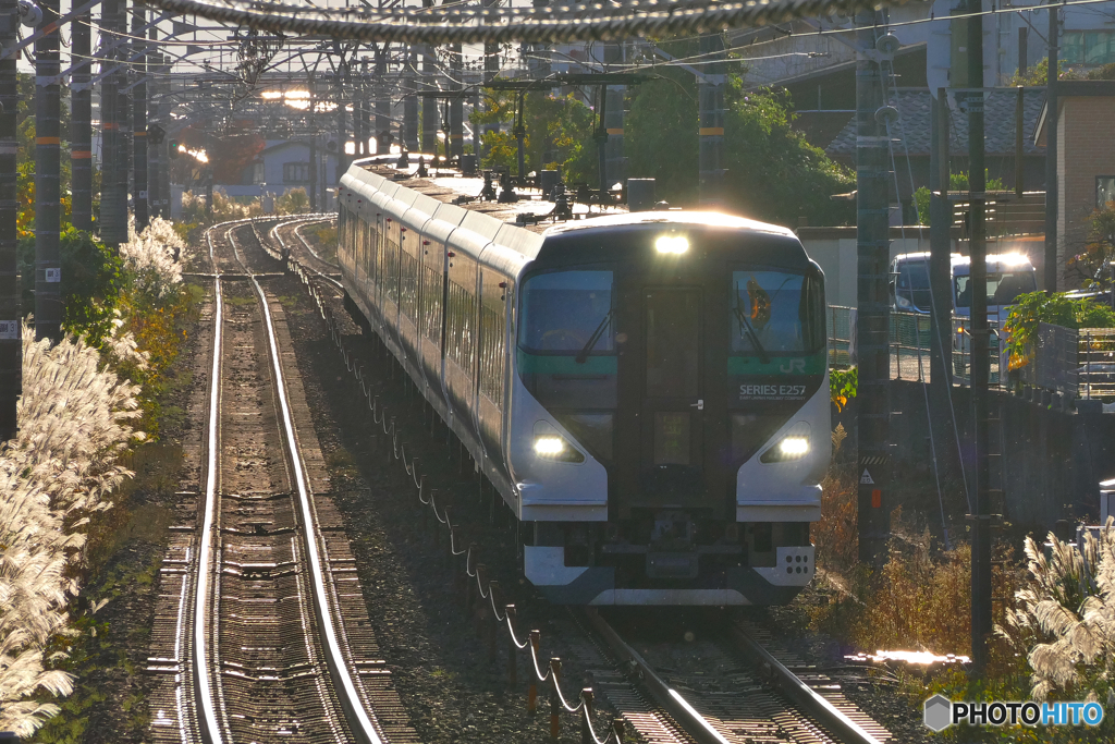 E257系で行く　品川⇔静岡　日帰りの旅