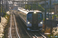 E257系で行く　品川⇔静岡　日帰りの旅