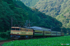 大井川鉄道E33,34重連　EL急行