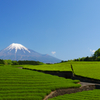 大渕笹葉の富士山
