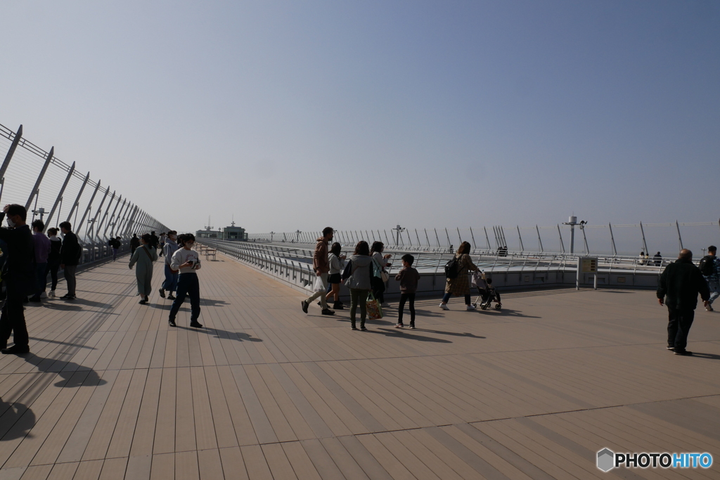 中部空港 セントレア