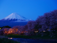 龍巌淵の夜桜と富士山