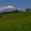 2017今宮から富士山