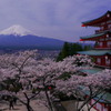 新倉浅間神社の桜と富士山