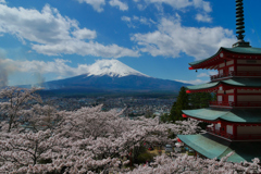 新倉山 桜まつり2018